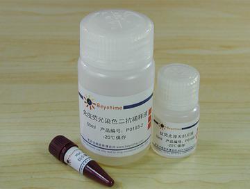 免疫荧光染色试剂盒-抗小鼠Cy3